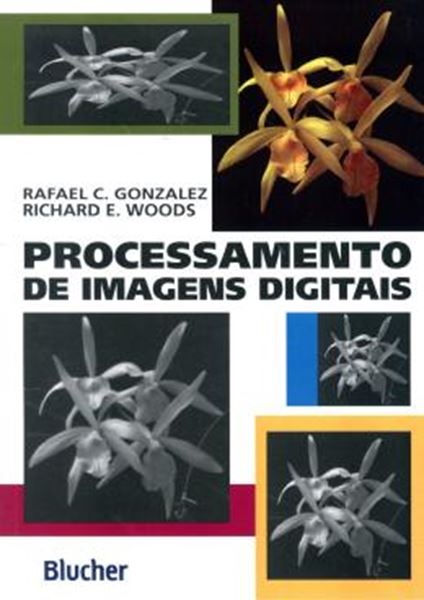 Picture of PROCESSAMENTO DE IMAGENS DIGITAIS