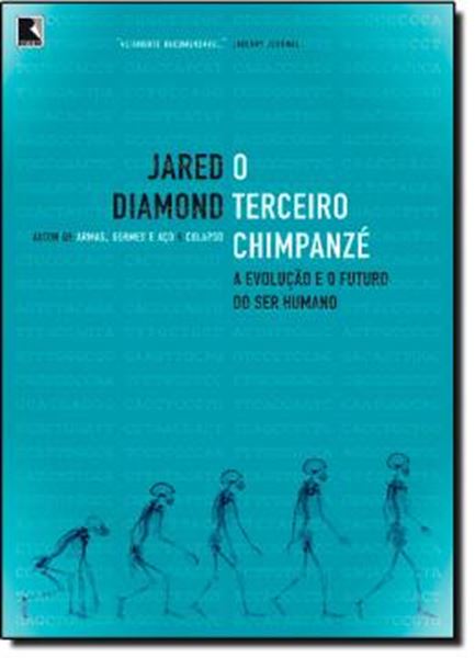 Picture of TERCEIRO CHIMPANZE