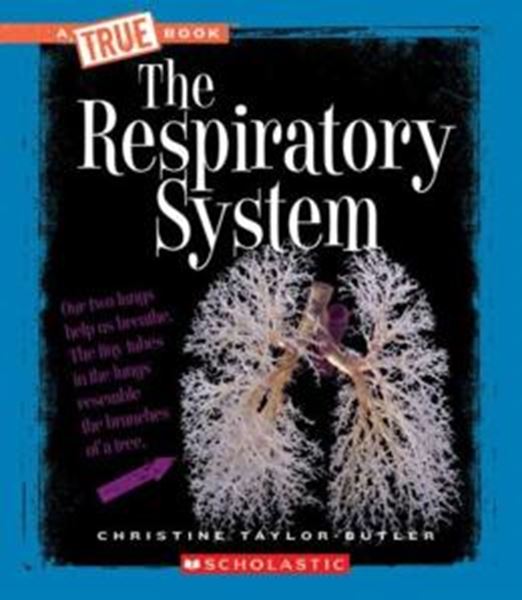 Picture of RESPIRATORY SYSTEM, THE