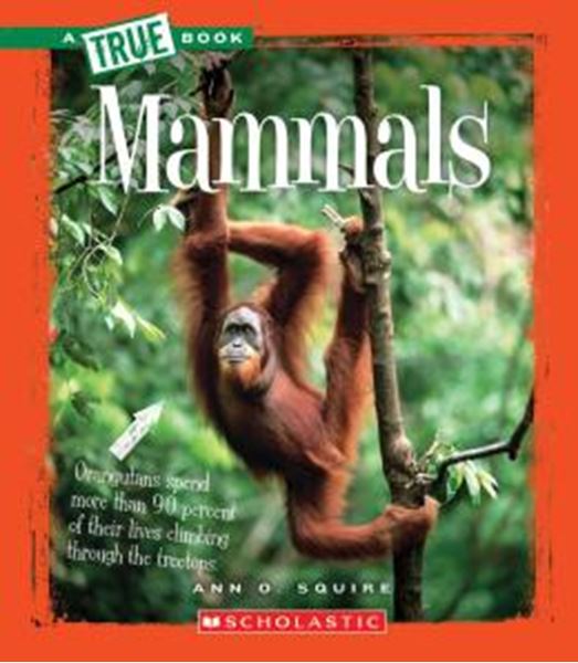 Picture of MAMMALS - A TRUE BOOK