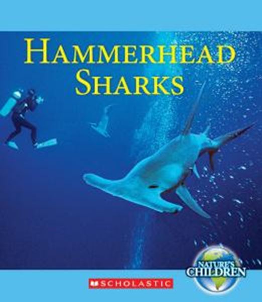 Picture of HAMMERHEAD SHARKS