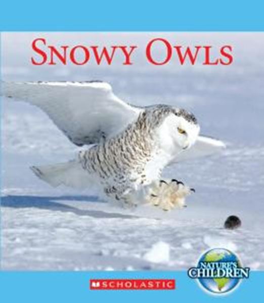 Picture of SNOWY OWLS