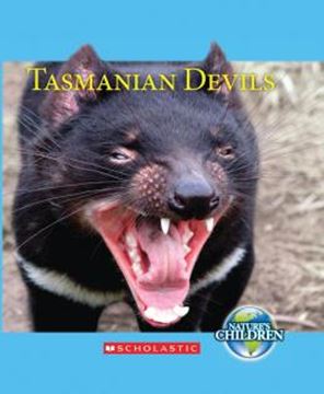 Imagem de TASMANIAN DEVILS