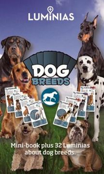 Imagem de LUMINIAS - DOG BREEDS