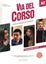 Imagem de VIA DEL CORSO A2 - LIBRO DELLO STUDENTE ED ESERCIZI