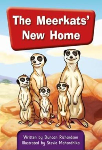 Picture of THE MEERKATS NEW HOME