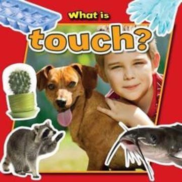Imagem de WHAT IS TOUCH?