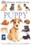 Imagem de ULTIMATE STICKER BOOK - PUPPY - MORE THAN 60 REUSABLE FULL-COLOR STICKERS