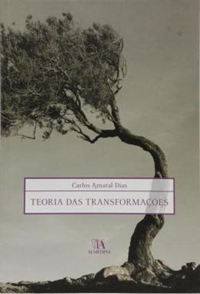 Picture of TEORIA DAS TRANSFORMACOES