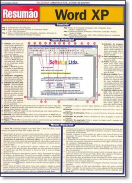 Picture of RESUMAO - WORD XP