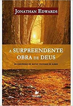 Imagem de SURPREENDENTE OBRA DE DEUS, A