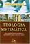 Imagem de TEOLOGIA SISTEMATICA - (FRANKLIN E MYATT) - 2ª ED