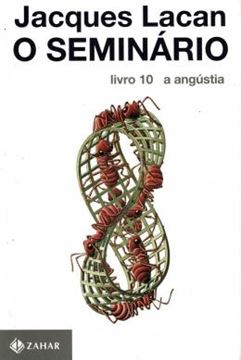 Imagem de SEMINARIO, O - LIVRO 10 - A ANGUSTIA