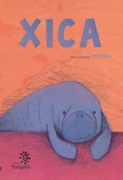 Imagem de XICA - 2ª ED