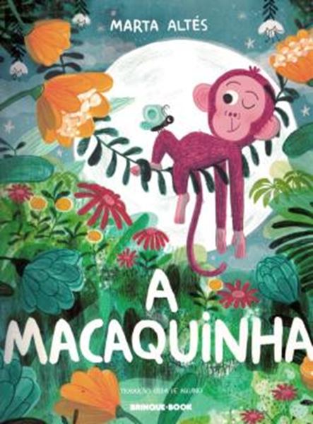 Picture of A MACAQUINHA