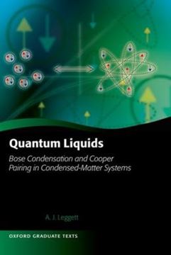 Imagem de QUANTUM LIQUIDS