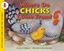 Imagem de WHERE DO CHICKS COME FROM?