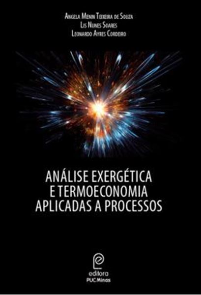 Picture of ANALISE EXERGETICA E TERMOECONOMIA APLICADAS A PROCESSOS