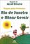 Imagem de VIAGEM PELAS PROVINCIAS - RIO DE JANEIRO E MINAS GERAIS