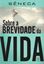 Imagem de SOBRE A BREVIDADE DA VIDA