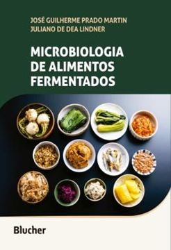 Imagem de MICROBIOLOGIA DE ALIMENTOS FERMENTADOS