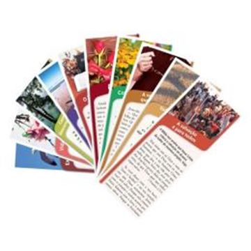 Imagem de SERIE SELECAO 1 - FOLHETOS - MILHEIRO