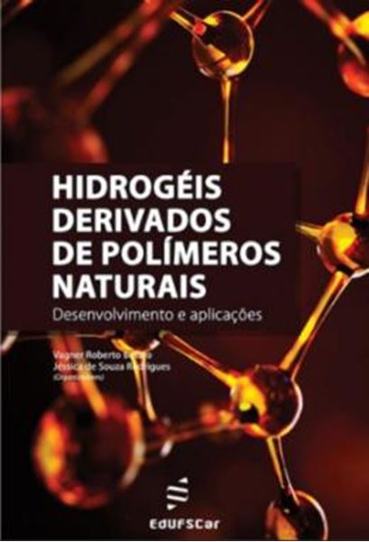 Picture of HIDROGEIS DERIVADOS DE POLIMEROS NATURAIS - DESENVOLVIMENTO E APLICACOES