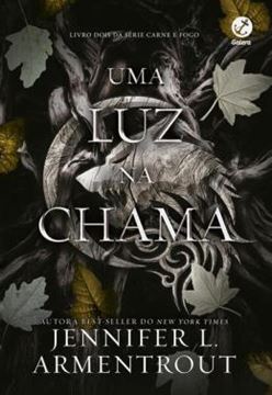 Imagem de UMA LUZ NA CHAMA - CARNE E FOGO - VOL. 2