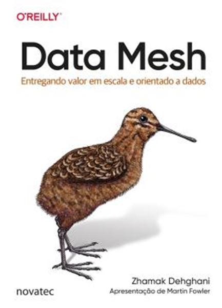 Picture of DATA MESH