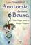 Imagem de ANATOMIA DE UMA BRUXA - UM MAPA PARA O CORPO MAGICO