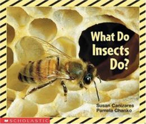 Picture of WHAT DO INSECTS DO?