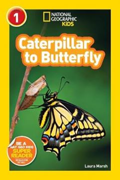 Imagem de NATIONAL GEOGRAPHIC KIDS READERS L1 - CATERPILLAR TO BUTTERFLY 