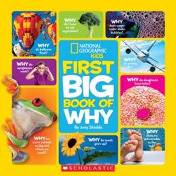 Imagem de NATIONAL GEOGRAPHIC KIDS - FIRST BIG BOOK OF WHY (SCHOLASTIC)