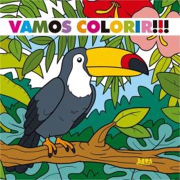 Imagem de VAMOS COLORIR!!! - VOL. 1