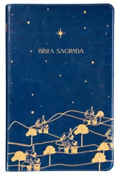 Picture of THE PURPOSE BOOK - BIBLIA SAGRADA, A21, CAPA COURO-SOFT AZUL, REINO